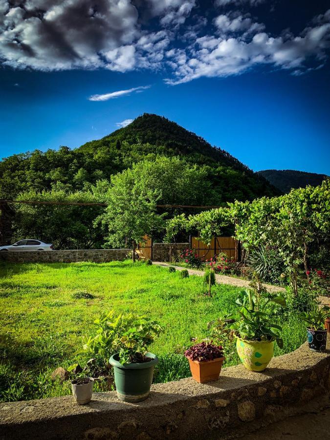 Family Hotel Mountain Panorama Borjomi ภายนอก รูปภาพ