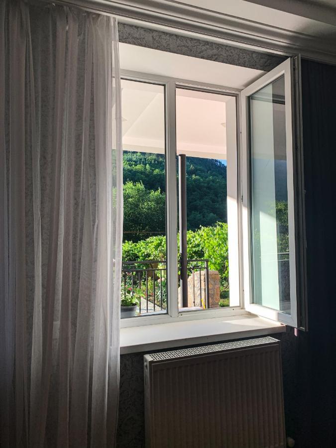 Family Hotel Mountain Panorama Borjomi ภายนอก รูปภาพ