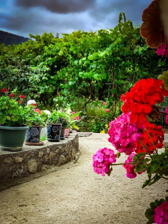 Family Hotel Mountain Panorama Borjomi ภายนอก รูปภาพ