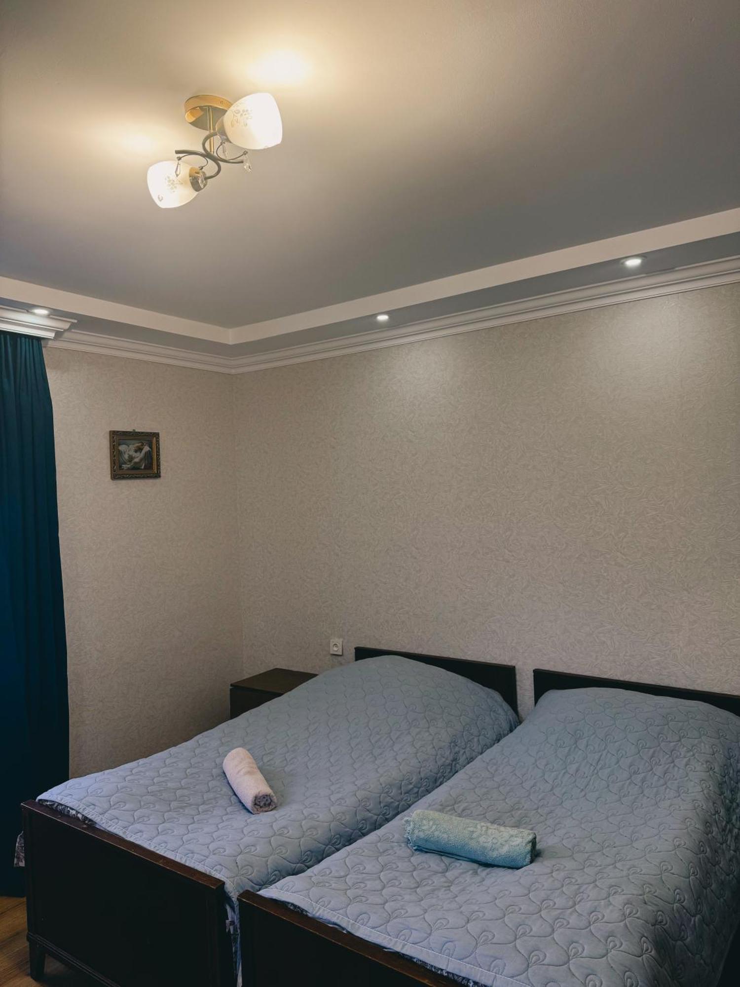 Family Hotel Mountain Panorama Borjomi ภายนอก รูปภาพ