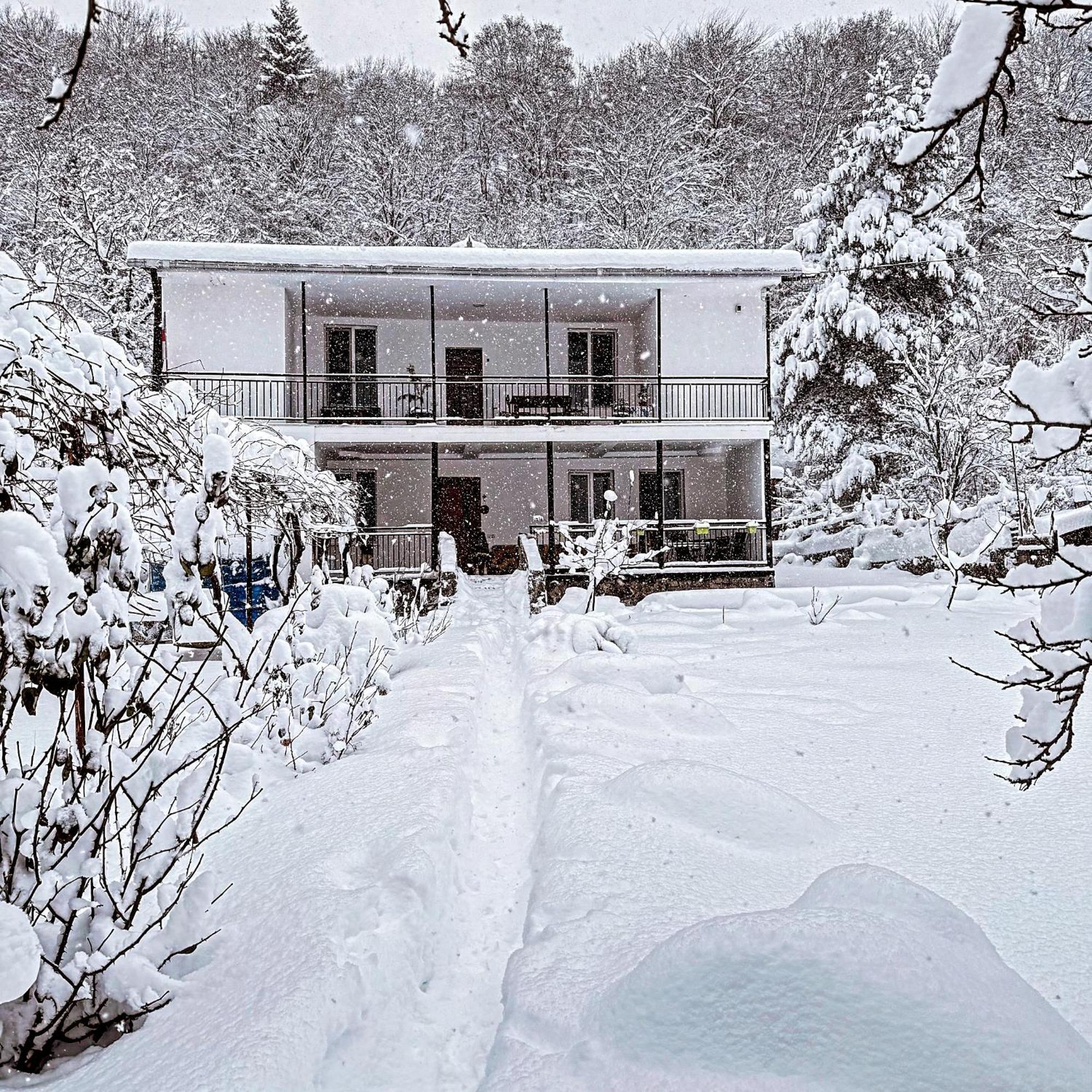 Family Hotel Mountain Panorama Borjomi ภายนอก รูปภาพ